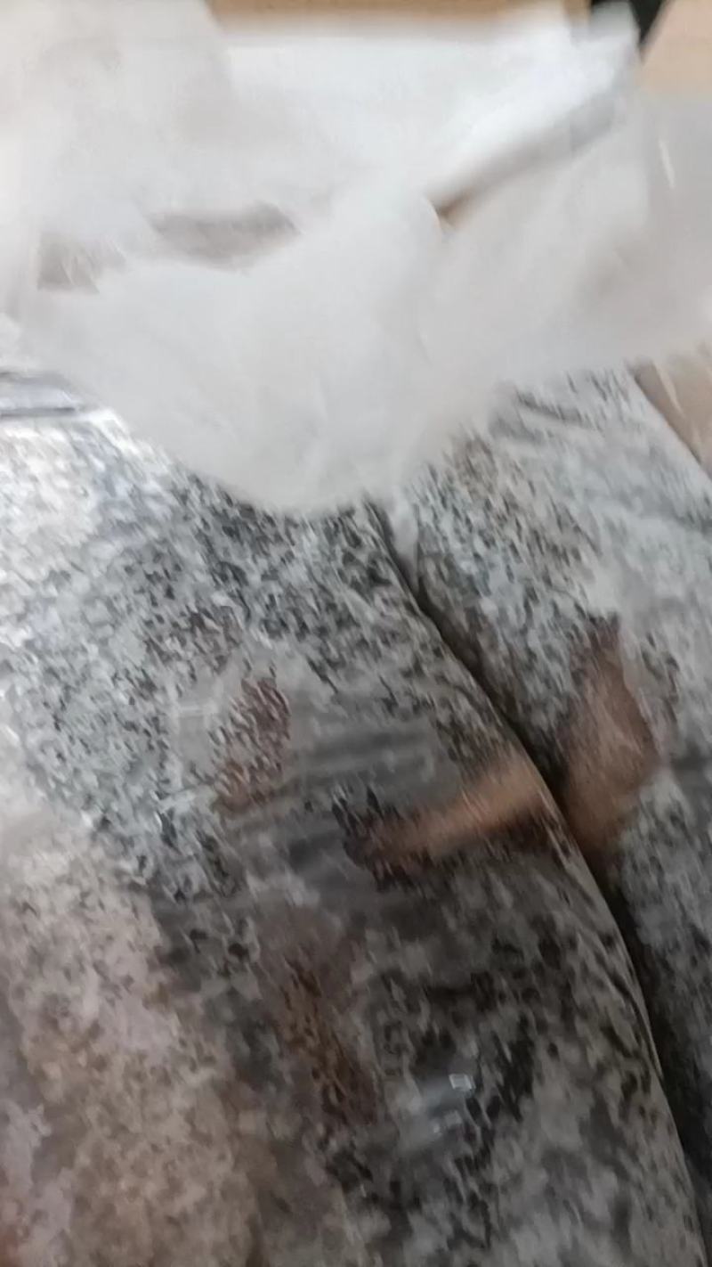生鲜羊肚，河北定州屠宰场批发，量大优