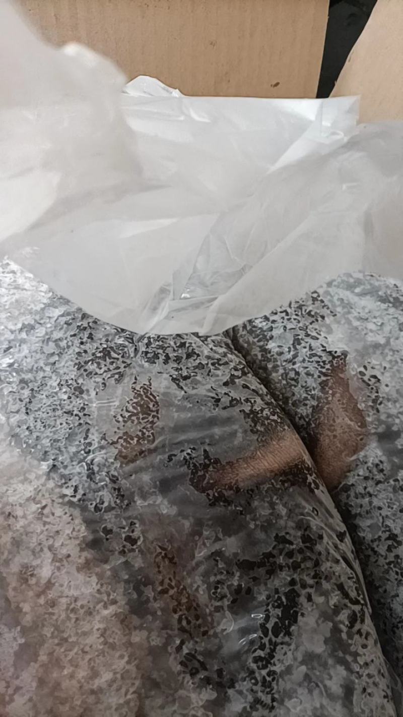 生鲜羊肚，河北定州屠宰场批发，量大优