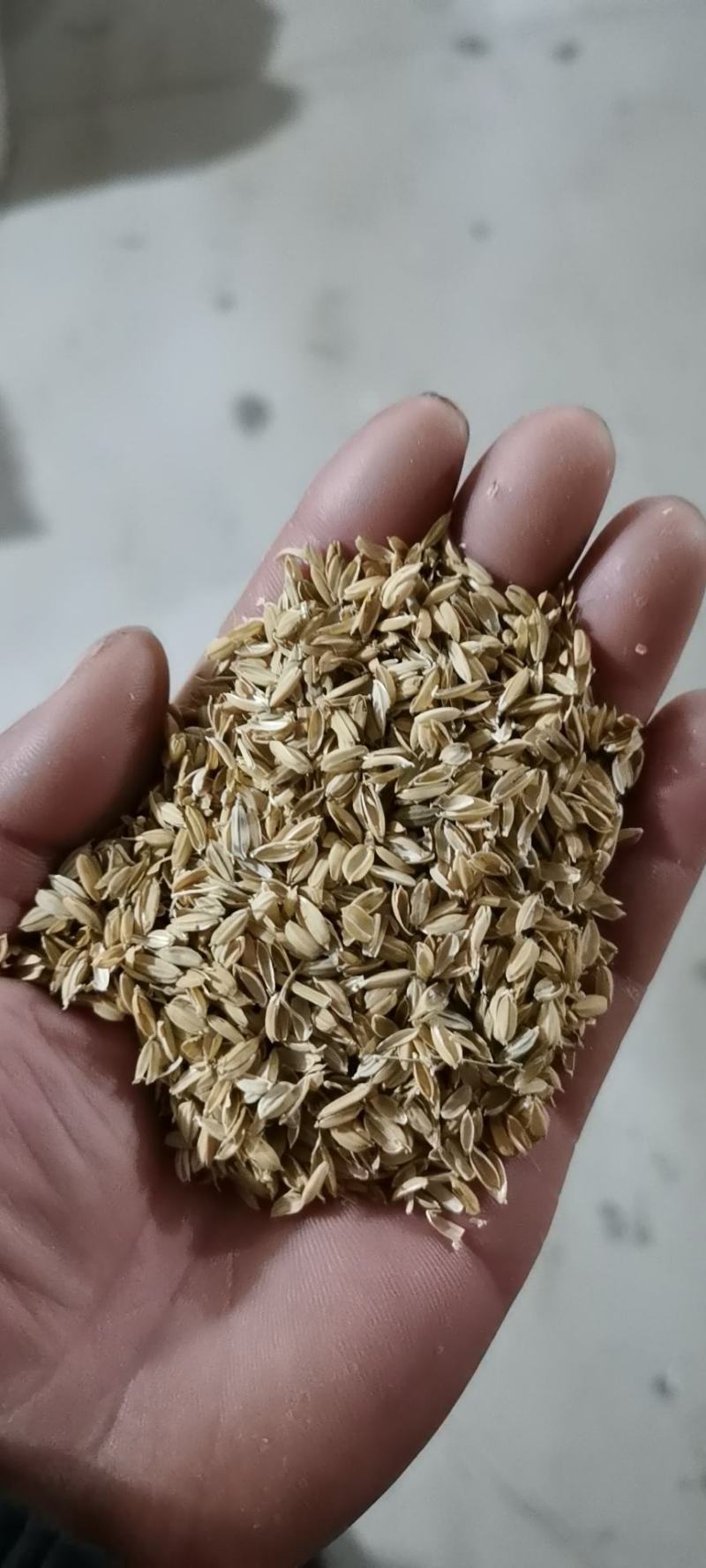 优质好货稻壳厂家直销量大可以优惠货真价实