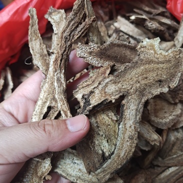 中药材木香保证质量新货统货支持平台交易