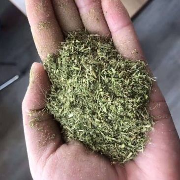 优质紫花苜蓿纯头茬苜蓿草粉