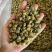 【产地直供】北京胎菊王胎菊米散装批发菊花茶花草茶
