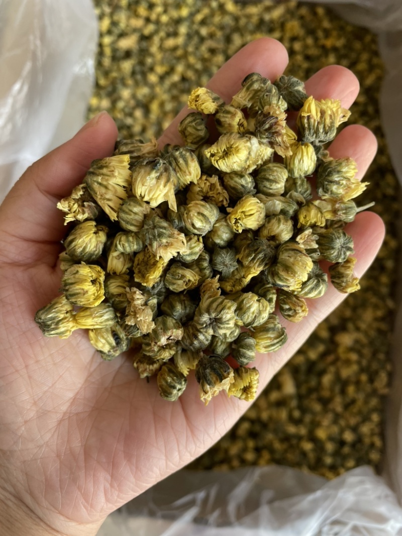 【产地直供】北京胎菊王胎菊米散装批发菊花茶花草茶
