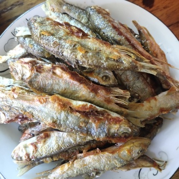 小溪火烘鱼