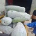 白皮冬瓜大量上市，多个品种可选