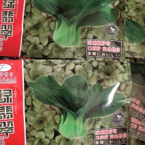 绿翡翠青梗菜。耐热，耐雨性强，叶面亮绿。