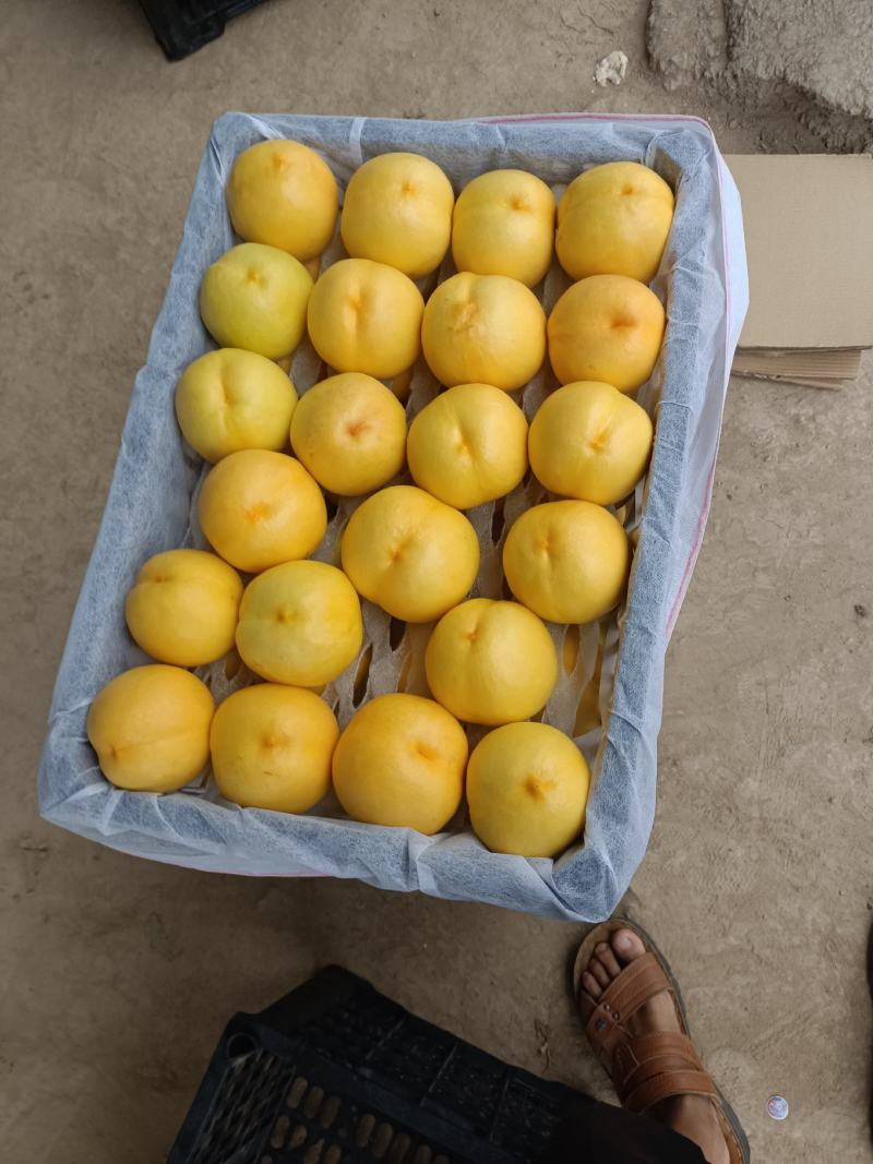 黄桃