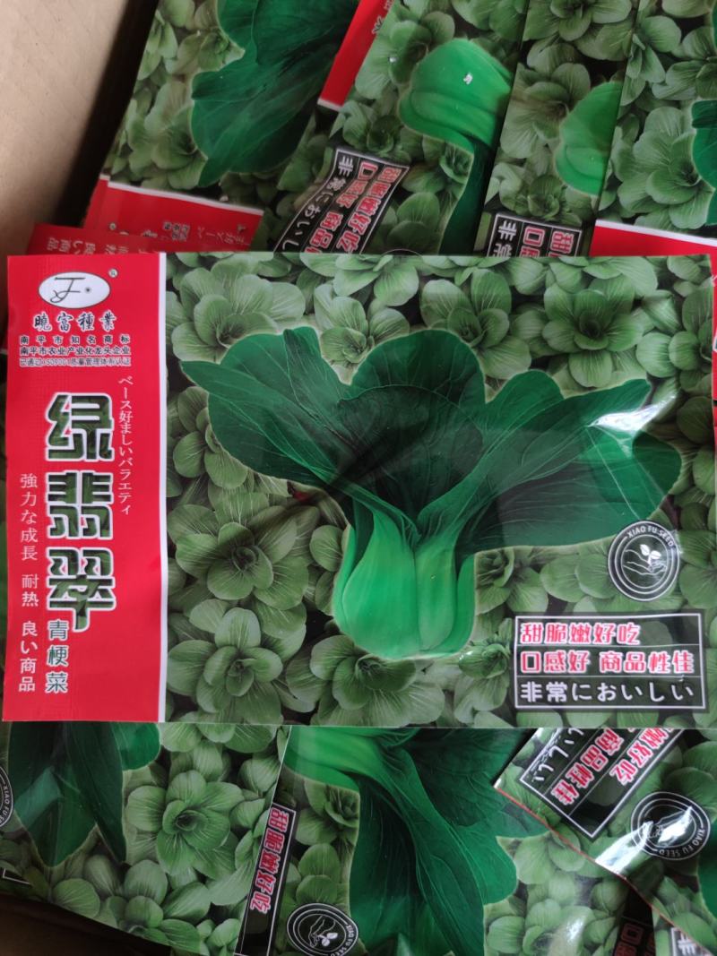 绿翡翠青梗菜种子，叶片亮绿、束腰,株型非常美观,早生