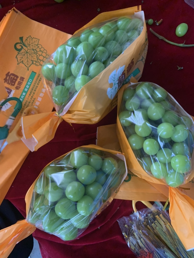 阳光玫瑰葡萄上市中，欢迎各地果商钱来洽谈。