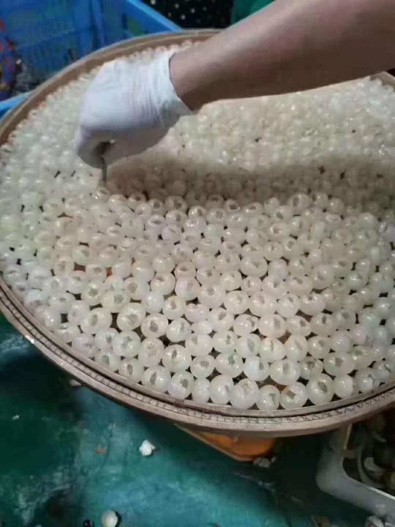 桂圆