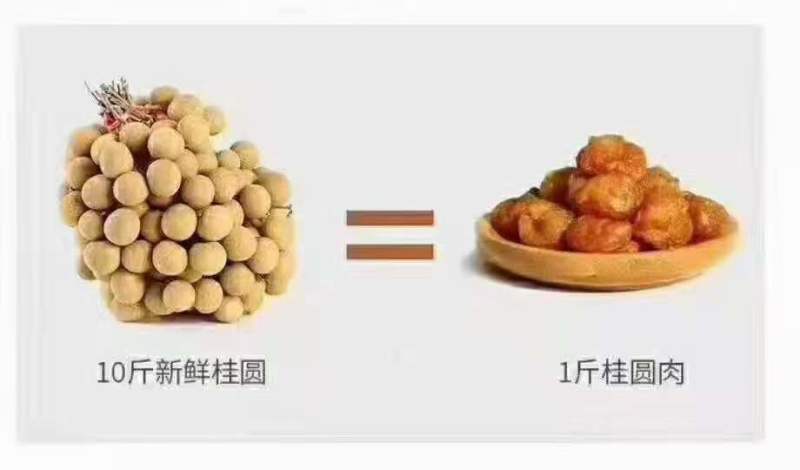 桂圆
