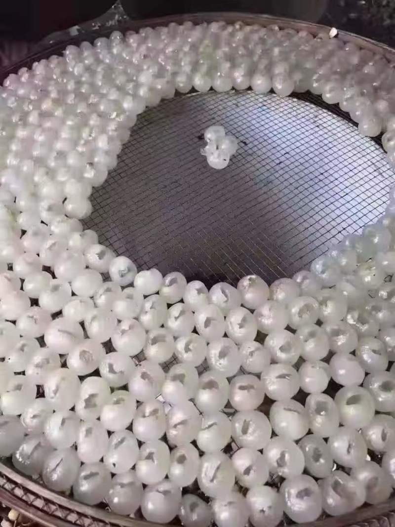 桂圆