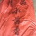 2021新货精品小茴香