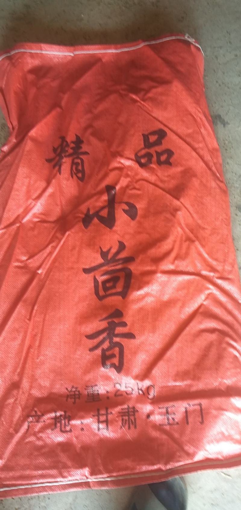 2021新货精品小茴香