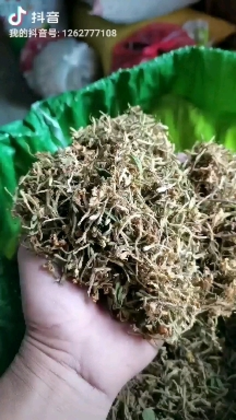 金银花