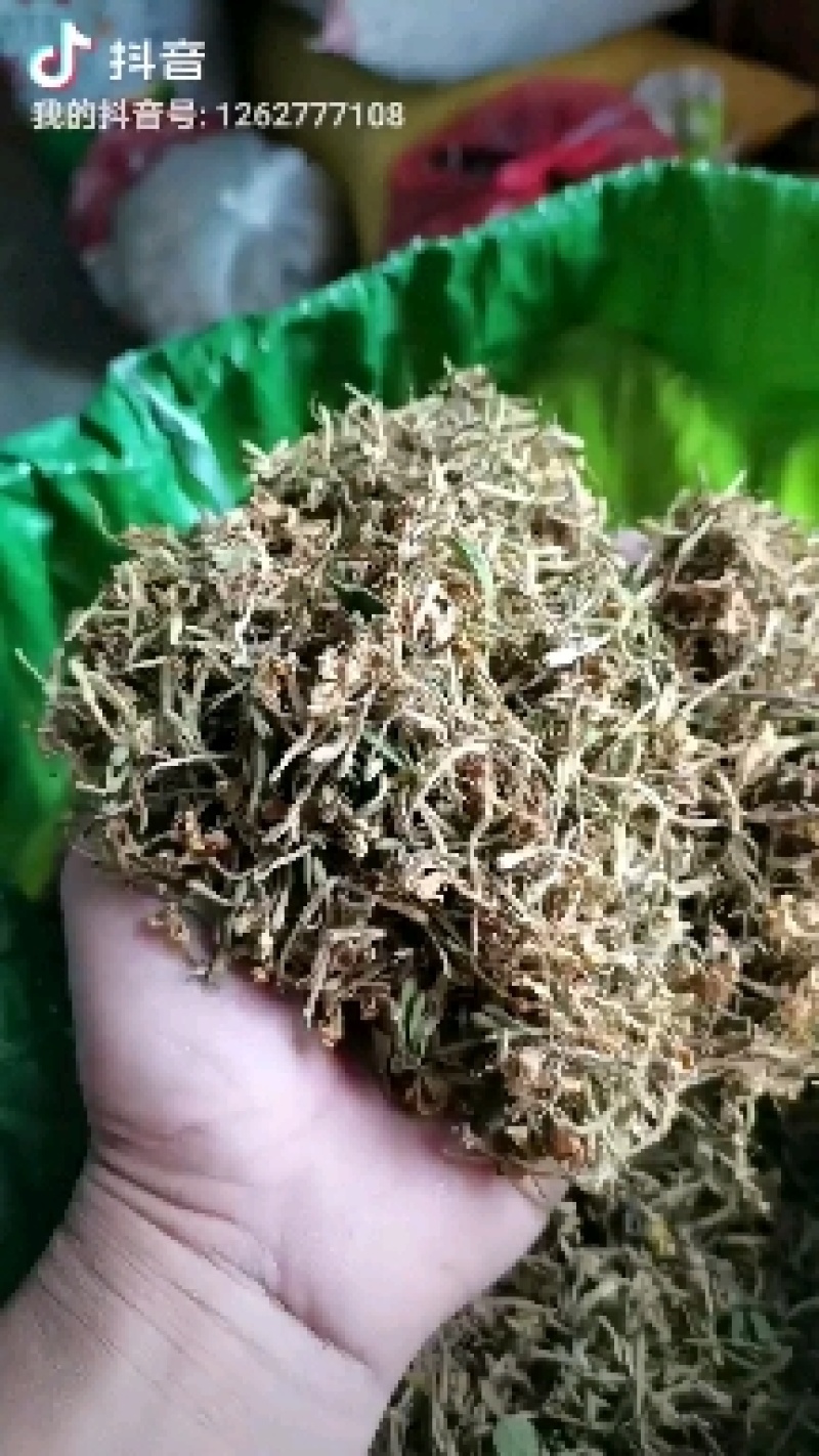金银花