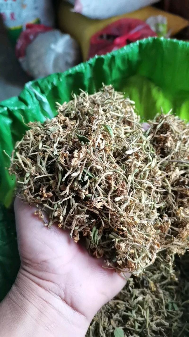金银花