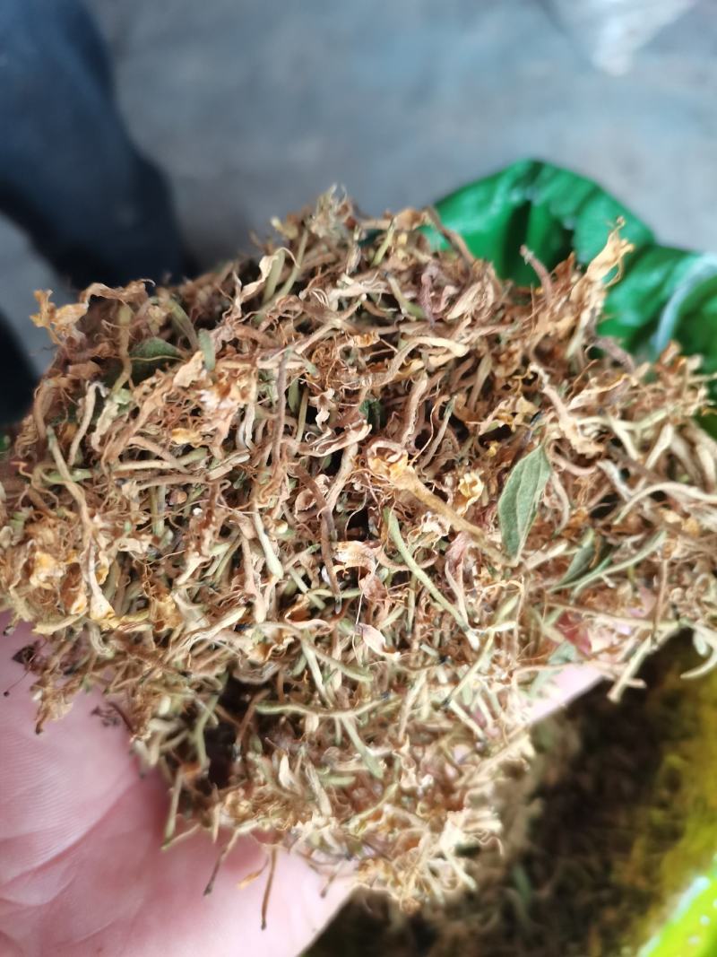 金银花