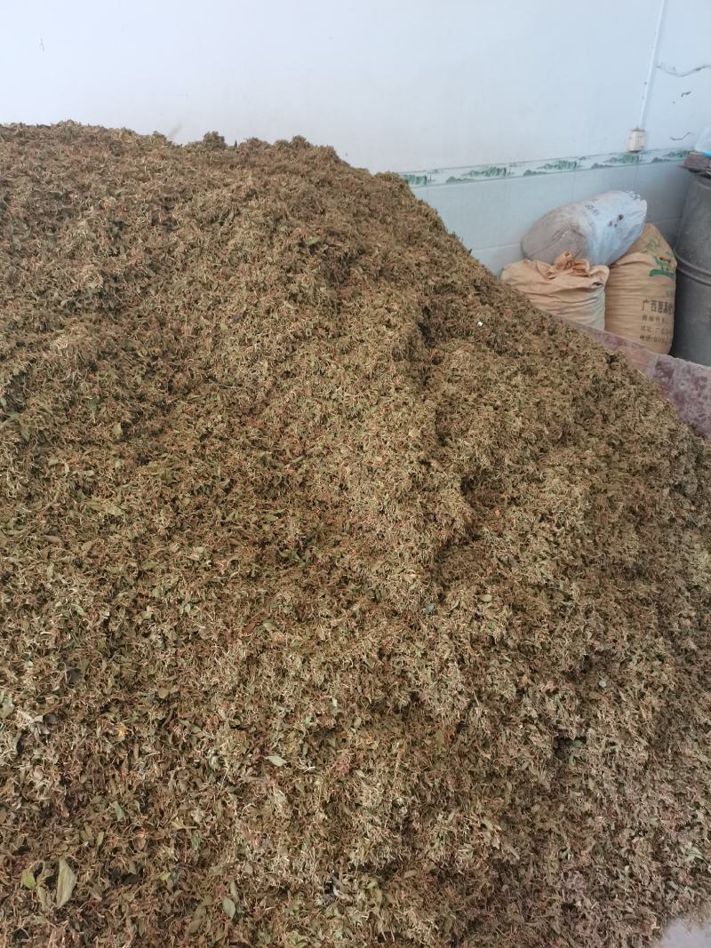 金银花