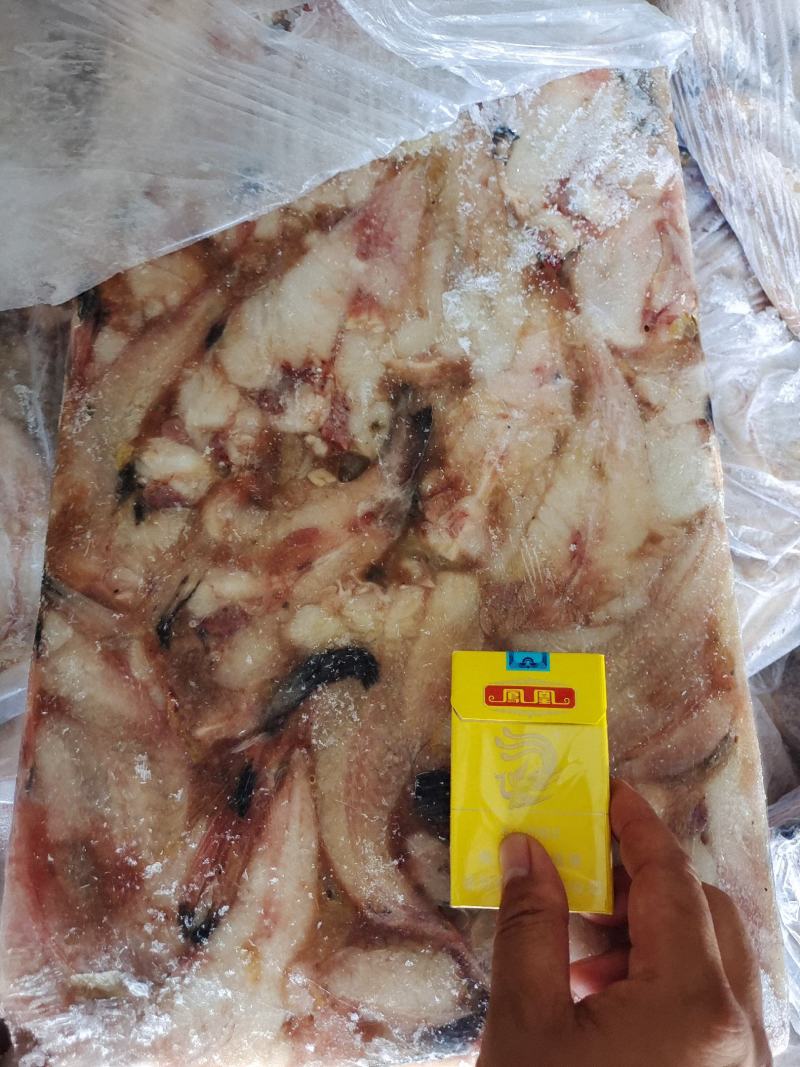 安康鱼尾蛤蟆鱼尾海产鲜度佳新货