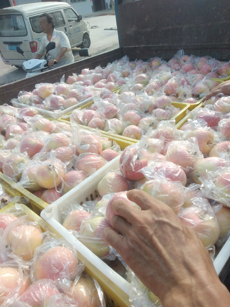 纸袋嘎啦、膜袋嘎啦、膜袋桃子