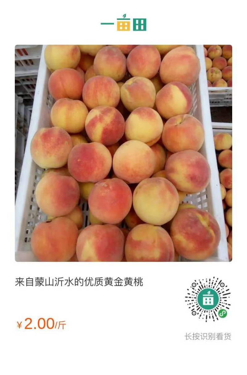 黄金桃