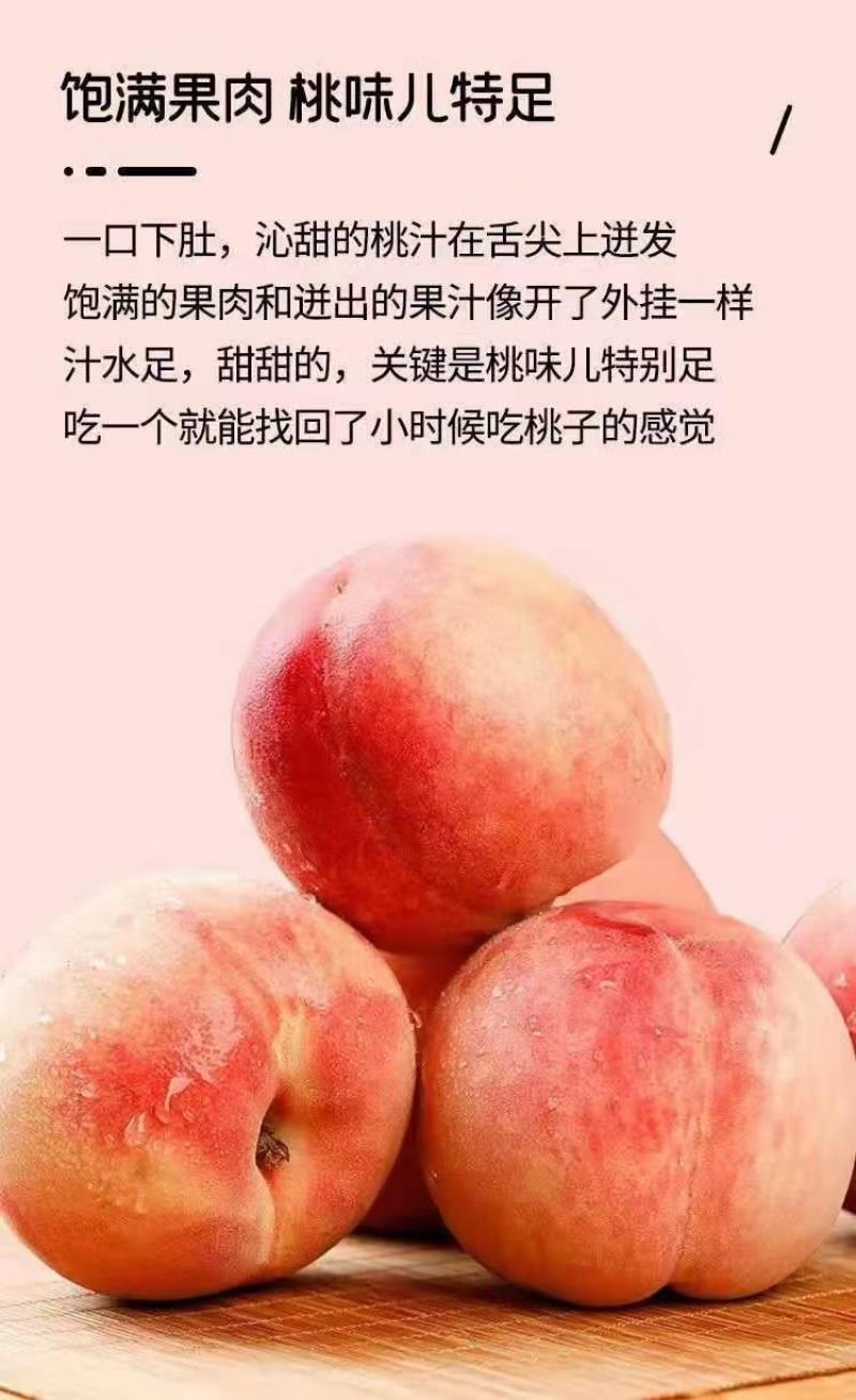北京市平谷大桃绿化9号，自家果园，现摘现发，支持采摘，