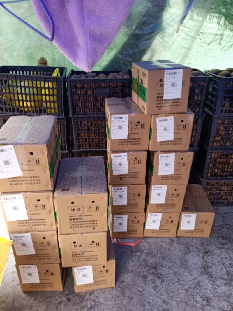 精品果猕猴桃精品十斤装80克～120克
