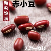 赤小豆药食同源赤小豆农家赤小豆熬粥赤小豆包邮