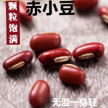 赤小豆药食同源赤小豆农家赤小豆熬粥赤小豆包邮