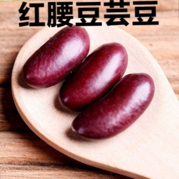 红芸豆农家红芸豆熬粥红芸豆五谷杂粮红芸豆5斤装包邮