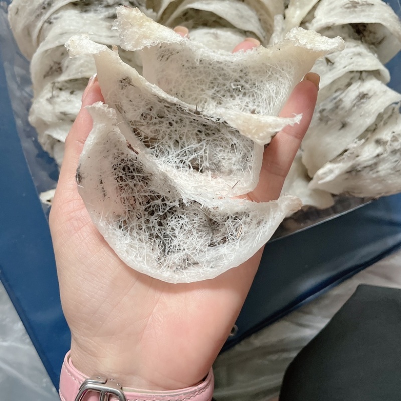 毛燕，燕窝，燕盏，底价一斤3000元