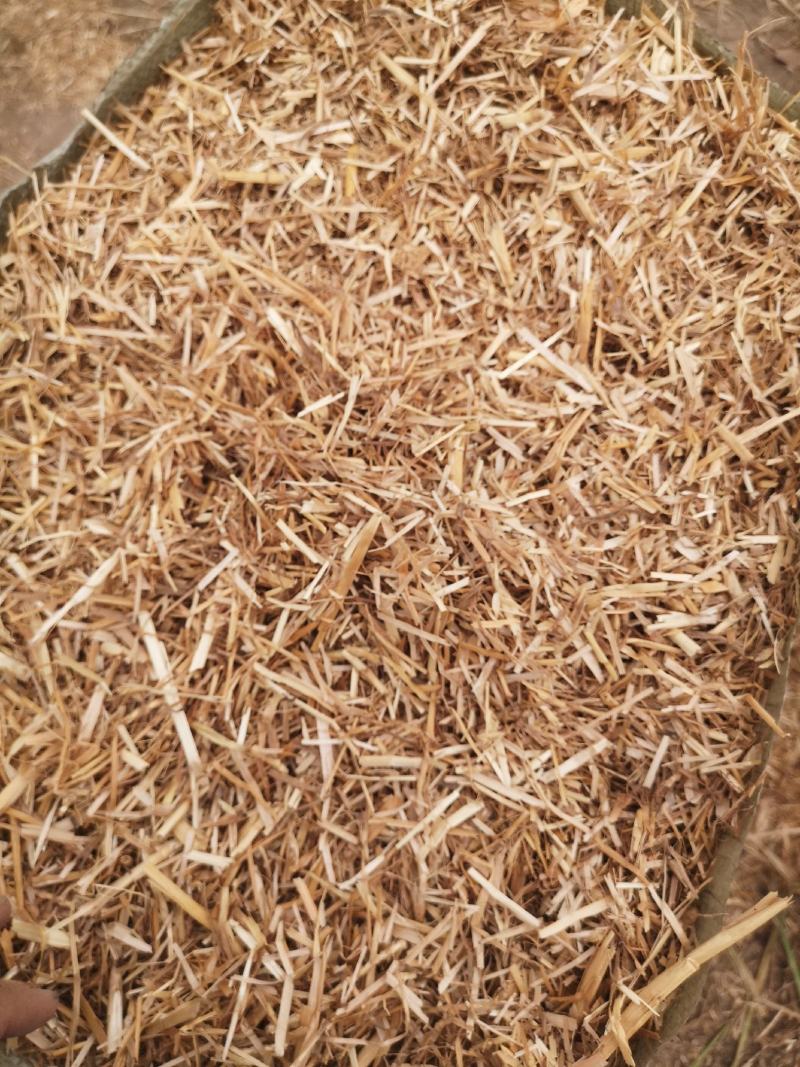 牛草，羊草，二次粉碎麦秸秆干白净无土无霉。