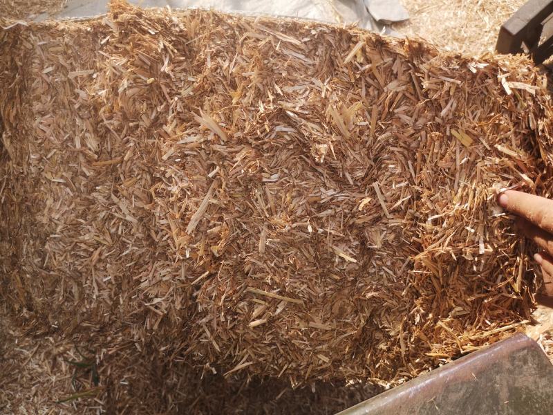 牛草，羊草，二次粉碎麦秸秆干白净无土无霉。