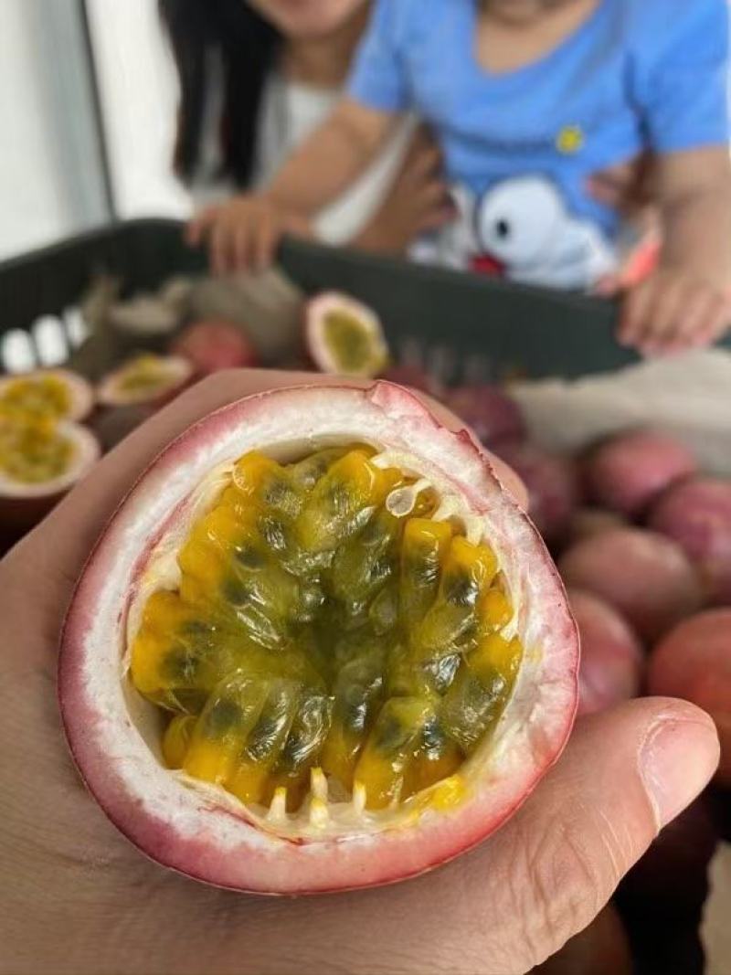 百香果蜂蜜茶柠檬水果果茶酱冲饮罐装好喝的冲泡手工泡水网红