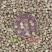 福寿花种子四季种易活开花不断室外庭院盆栽净化空气