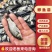 鯽鱼苗大量有货常年供应欢迎全国老板采购