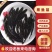 黑鱼苗大量有货常年供应欢迎全国老板采购