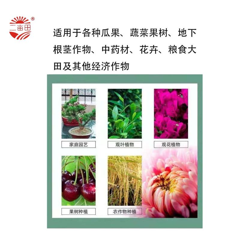 大中微全能肥料，（硝酸铵钙）颗粒状水溶肥）氮钙镁