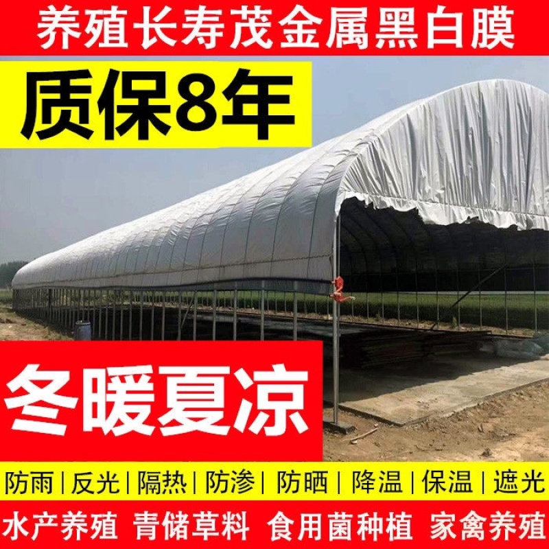 大棚膜厂家直销高品质黑白膜绿白膜养殖菌菇专用膜