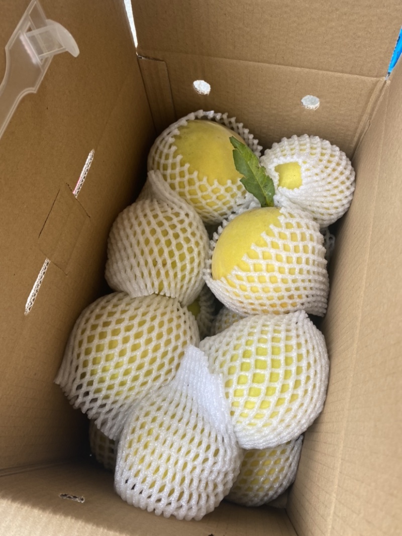 锦绣黄桃