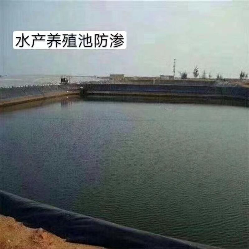 生产定制多规格水产养殖防渗膜藕池HDPE防渗膜复合土工膜