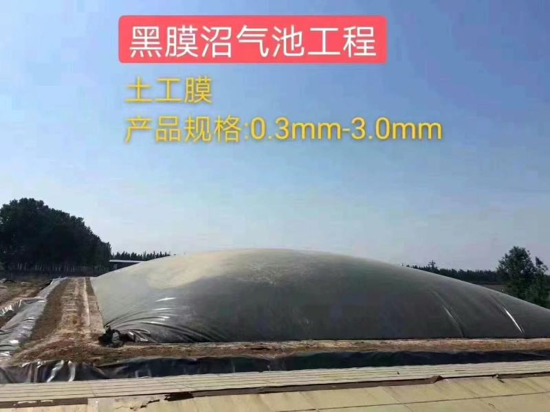 生产定制多规格水产养殖防渗膜藕池HDPE防渗膜复合土工膜