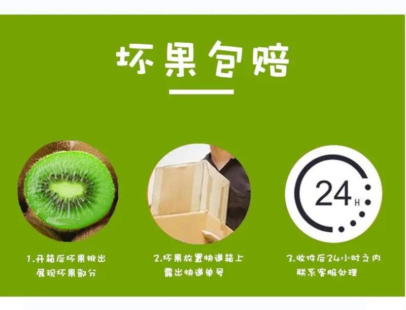 陕西周至徐香猕猴桃一件代发支持落地配，走整车