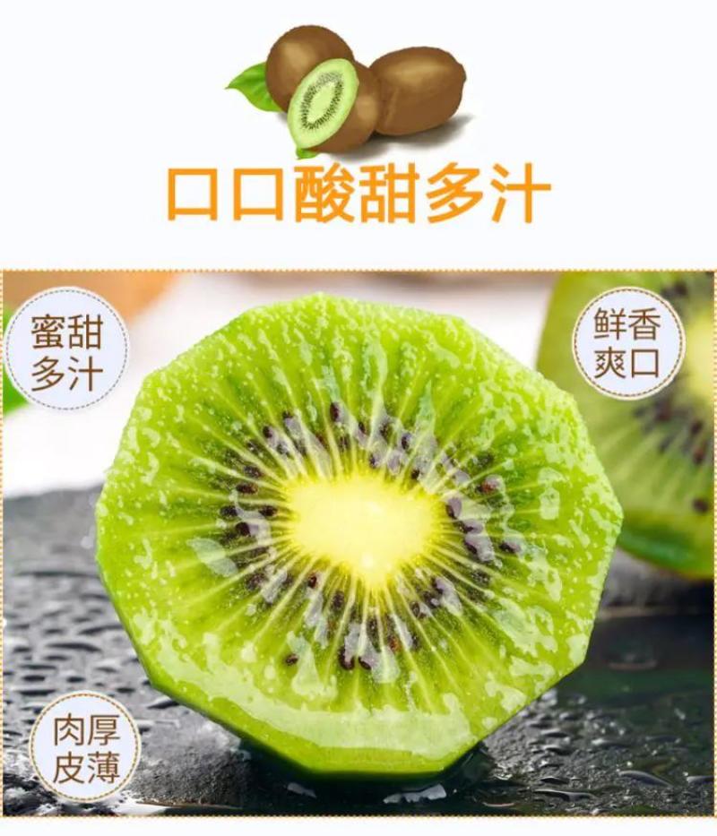 陕西周至徐香猕猴桃一件代发支持落地配，走整车
