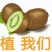 陕西周至徐香猕猴桃一件代发支持落地配，走整车