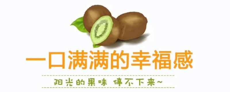 陕西周至徐香猕猴桃一件代发支持落地配，走整车