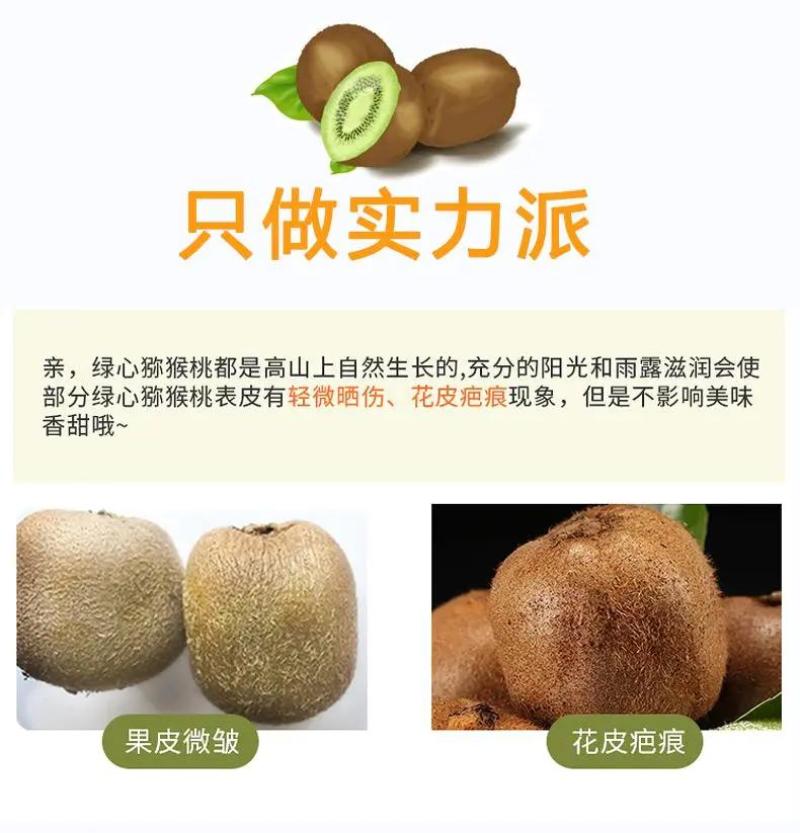 陕西周至徐香猕猴桃一件代发支持落地配，走整车