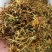 野生金银花