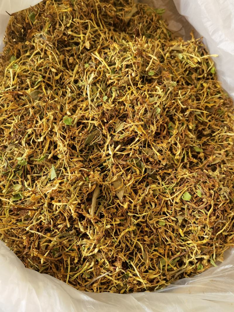 野生金银花